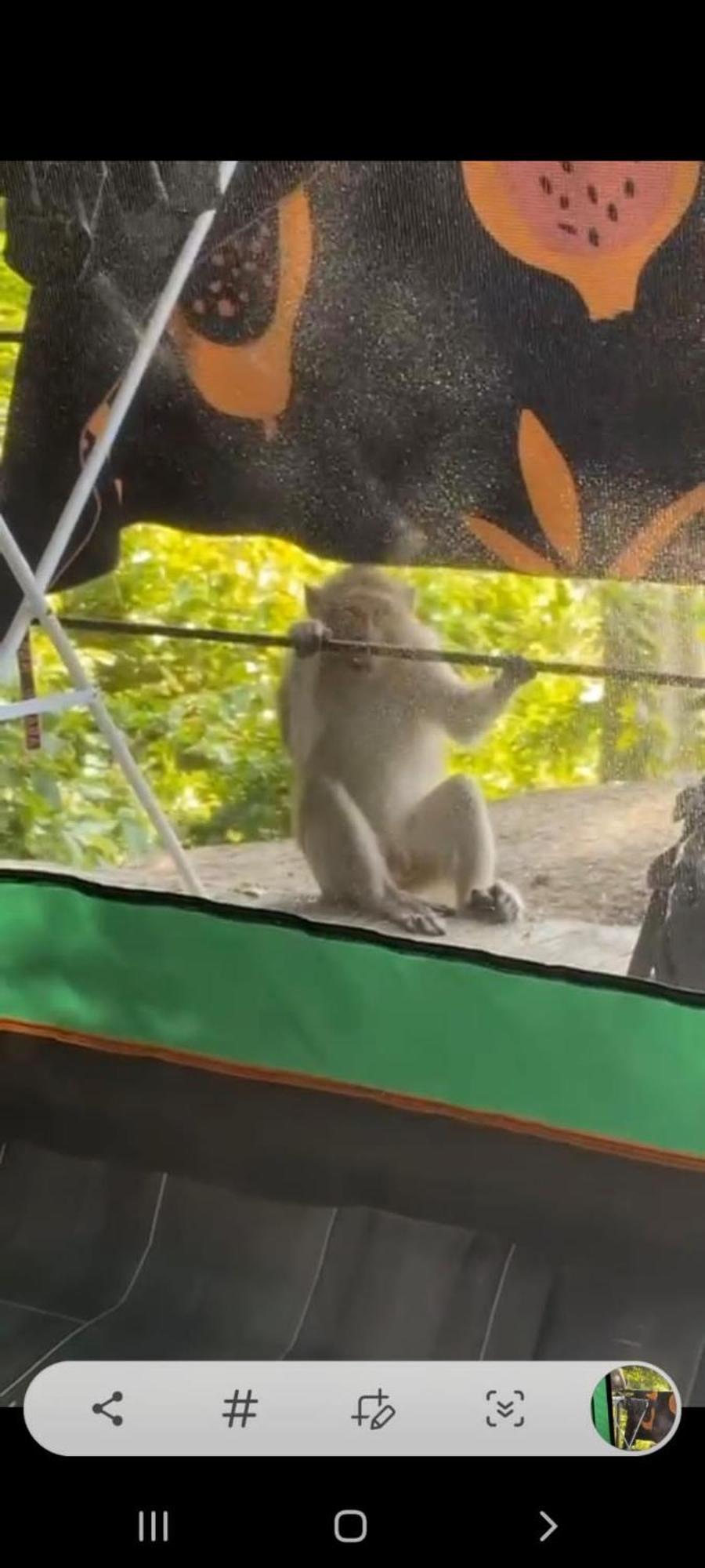 Joy Camping Haad Rin Exteriér fotografie
